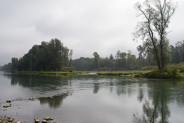 Aare_Lipscher_20130922_041