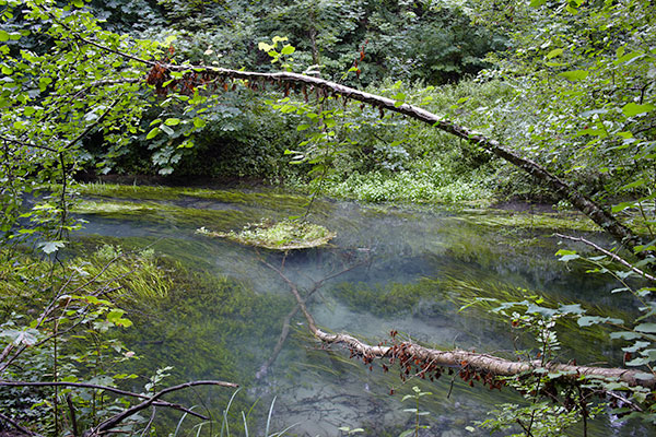 Steiner_Kanal_Lipscher_20090803_041