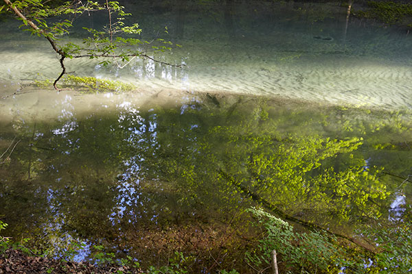 Steiner_Kanal_Lipscher_20100521_054