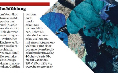 homestories im ‚NZZ Stil‘