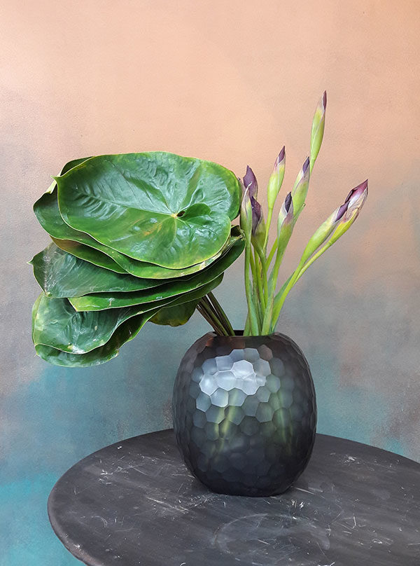 GUAXS-Gournia-Magnolie
