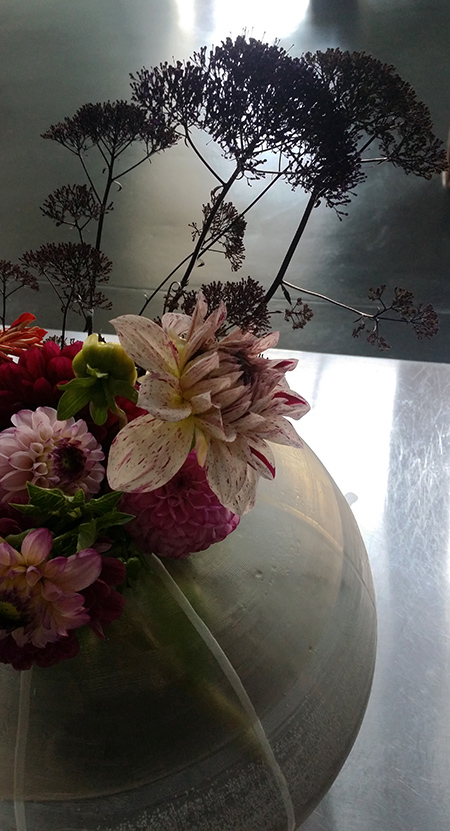 Herbstfarben-Herbstblumen-Aster-2