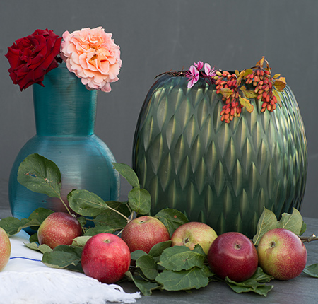 Herbstfarben-Herbstblumen-Berberitzen