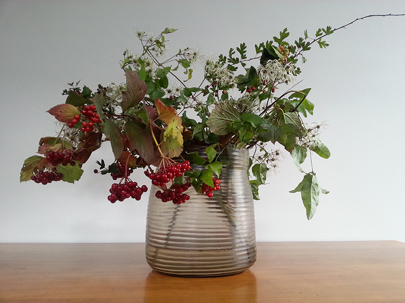 Herbstfarben-Herbstblumen-wilde-Reben