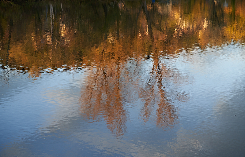 Herbstfarben-Herbstblumen-02