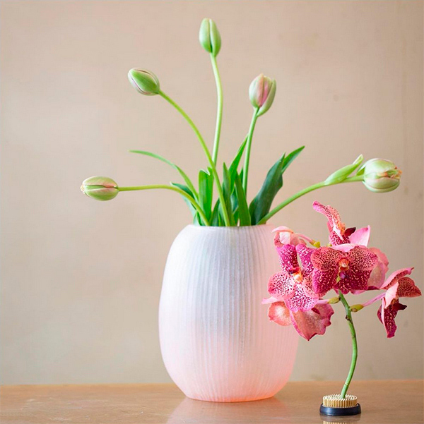 Vase Guaxs Nagaa M rosa vorteilhaft bei homestories.ch