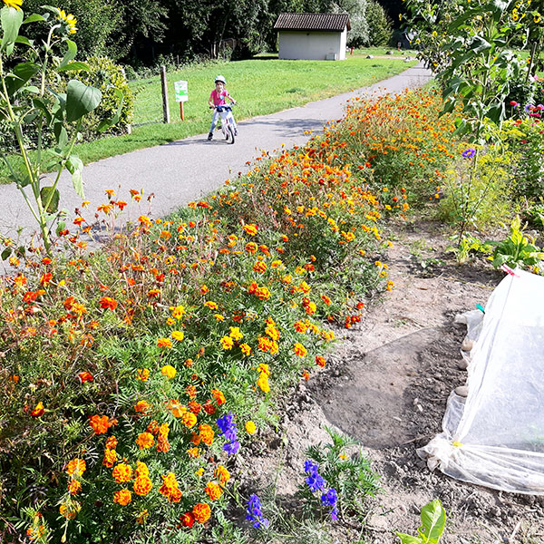 alte-frau-im-garten-07